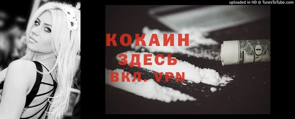 соль курить ск Дмитриев