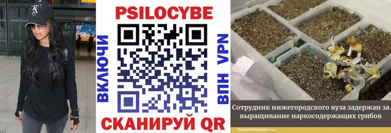 Галлюциногенные грибы Cubensis  Няндома 